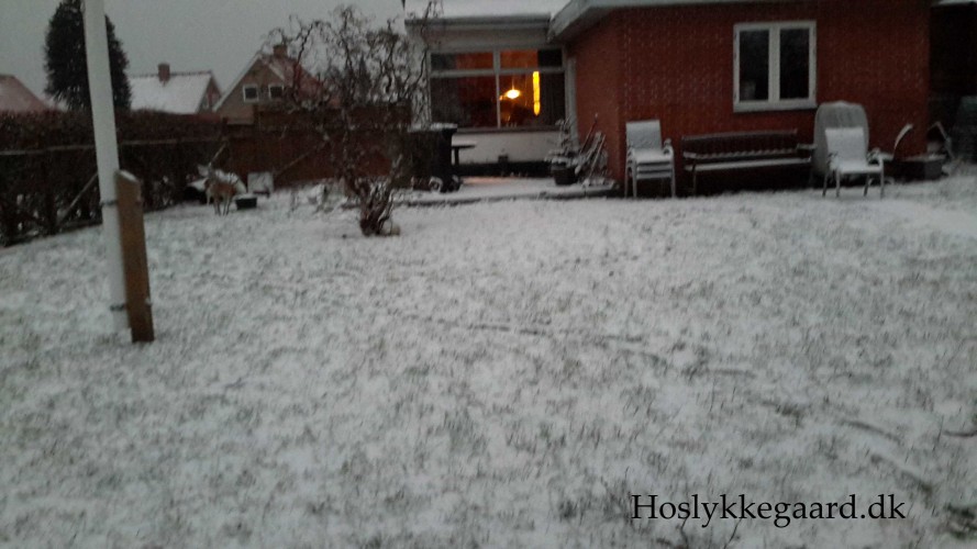 Så kom sneen