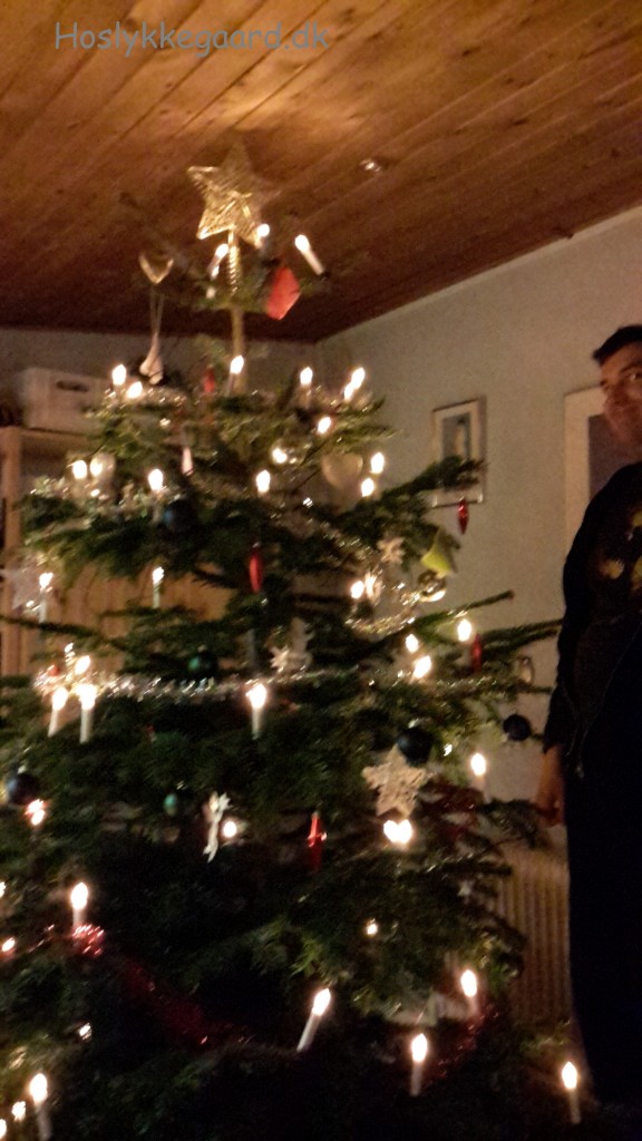 Juletræet og en Simon der lige har listet sig ind i billedet